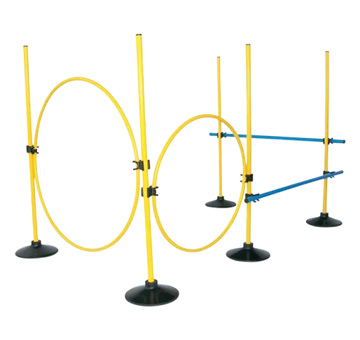 high-spin