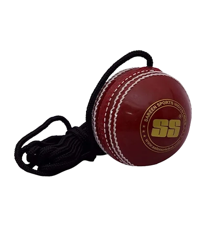 ss-hanging-ball-for-bat-knocking