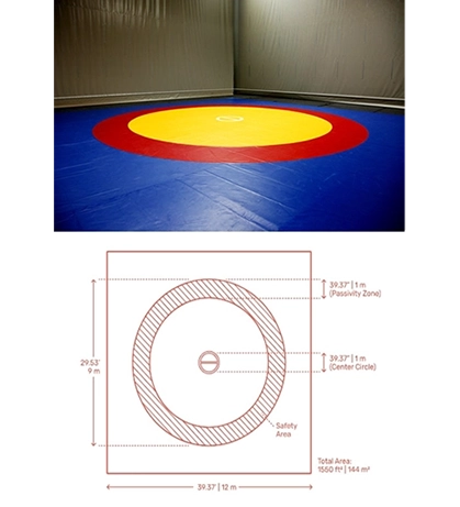 wrestling-court