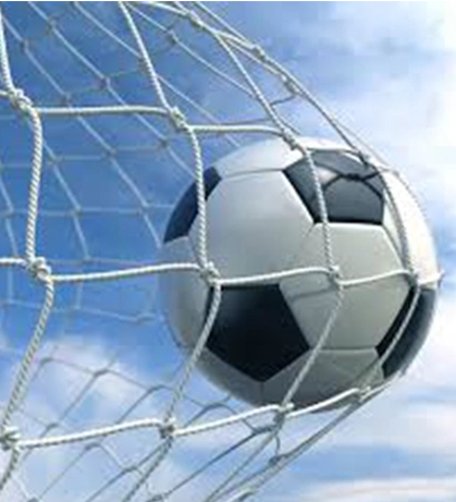 soccer-goal-net