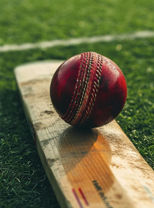 cricket