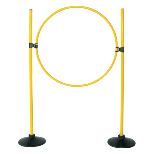 high-spin